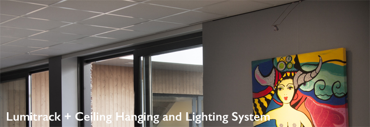 Shades Lumitrack Plus Ceiling Hanging And Lighting System